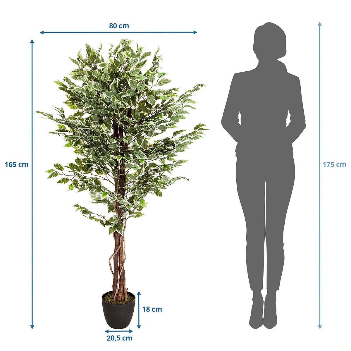 Kunstpflanze Ficus - Schwarz/Braun, Basics, Kunststoff (80/165/80cm) - MID.YOU