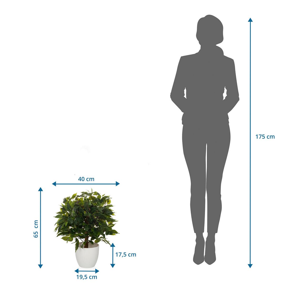 Kunstpflanze Grün/braun B: 40 Cm - Weiß/Braun, MODERN, Kunststoff (40/65/40cm) - MID.YOU