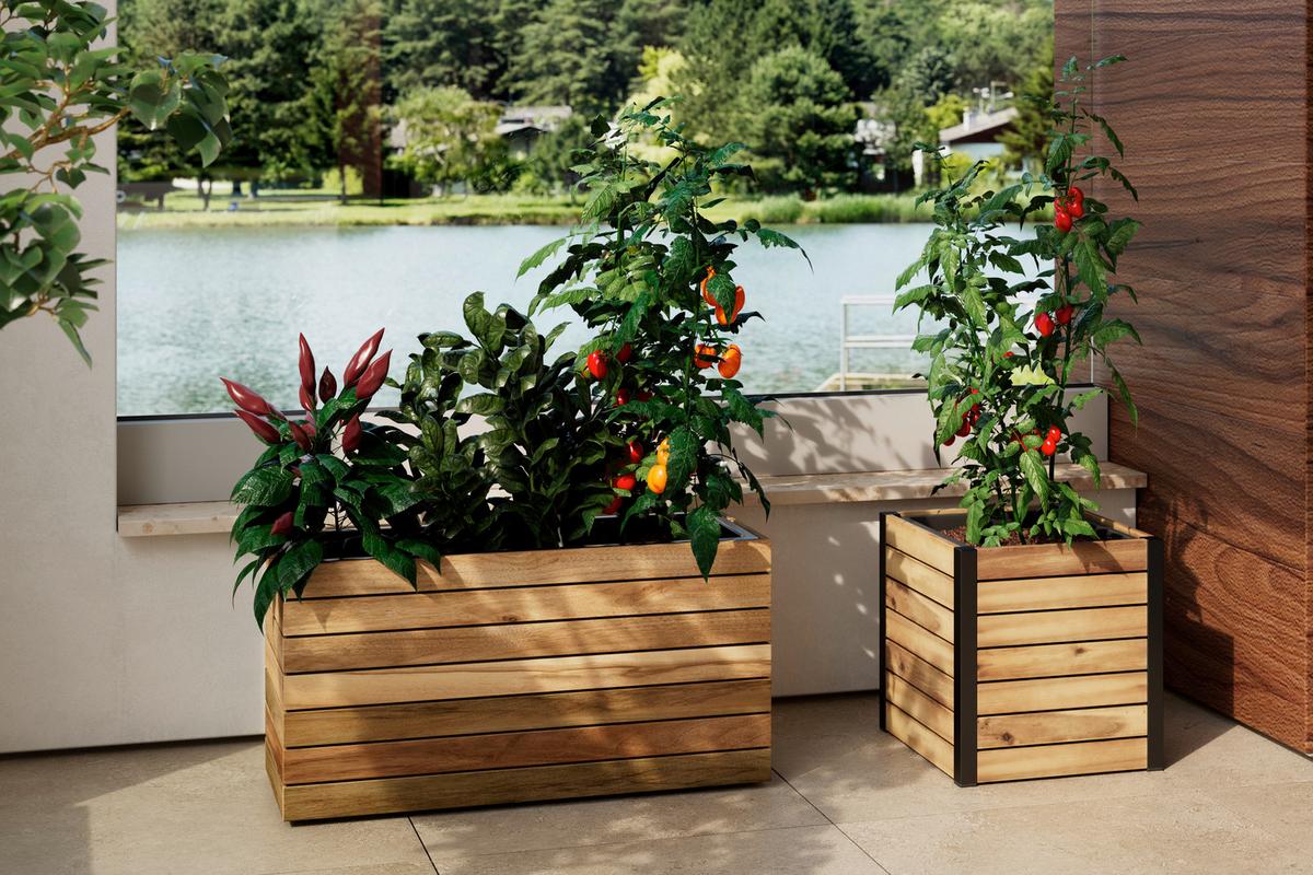 VYVÝŠENÝ ZÁHON CHRISTO 1 - černá/barvy akácie, Natur, dřevo/plast (32/34/32cm) - Mömax