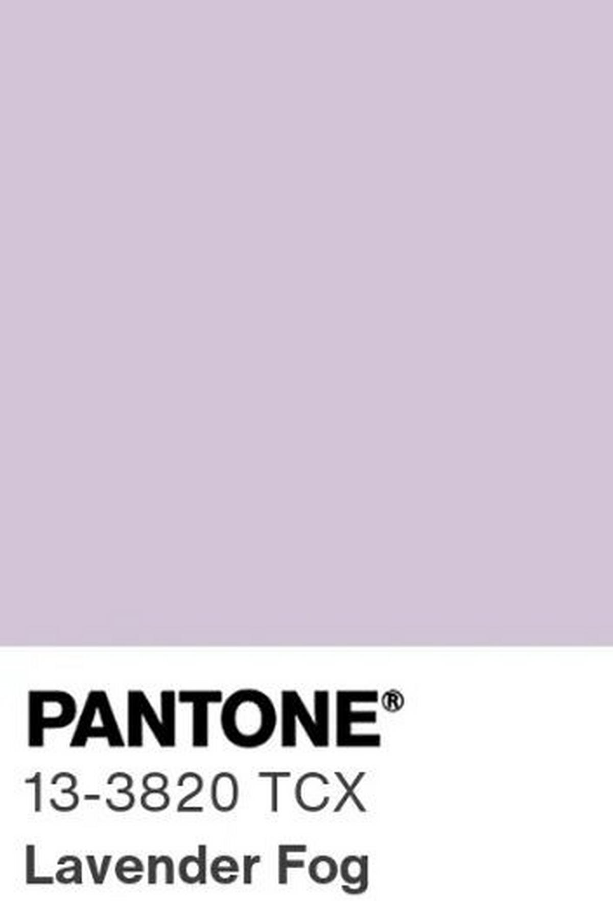 DEKORAČNÝ VANKÚŠ POPPY - orgovánová, Konventionell, textil (45/45cm) - Mömax