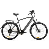 Elektrofahrrad Adore Anthrazit - Anthrazit, Basics, Metall (180/70/100cm)