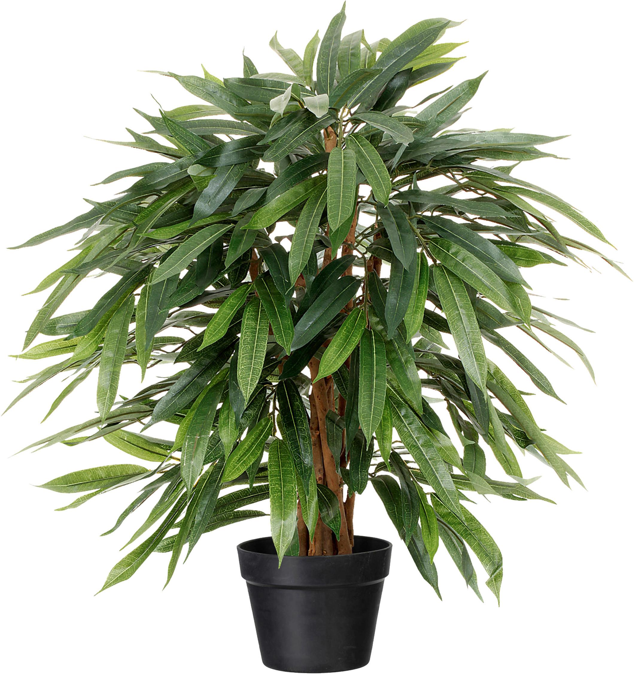 Kunstpflanze H: 80 cm - Schwarz/Braun, Design, Kunststoff (80cm)
