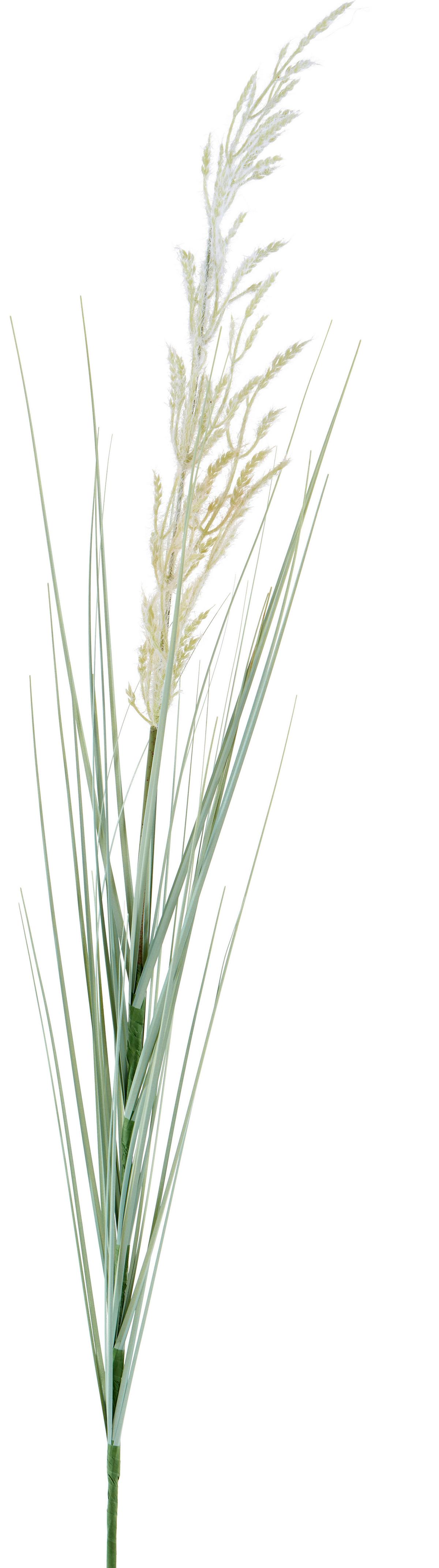 Kunstpflanze Grasbündel Creme/Grün L: 96 cm - Creme/Grün, MODERN, Kunststoff (96cm)