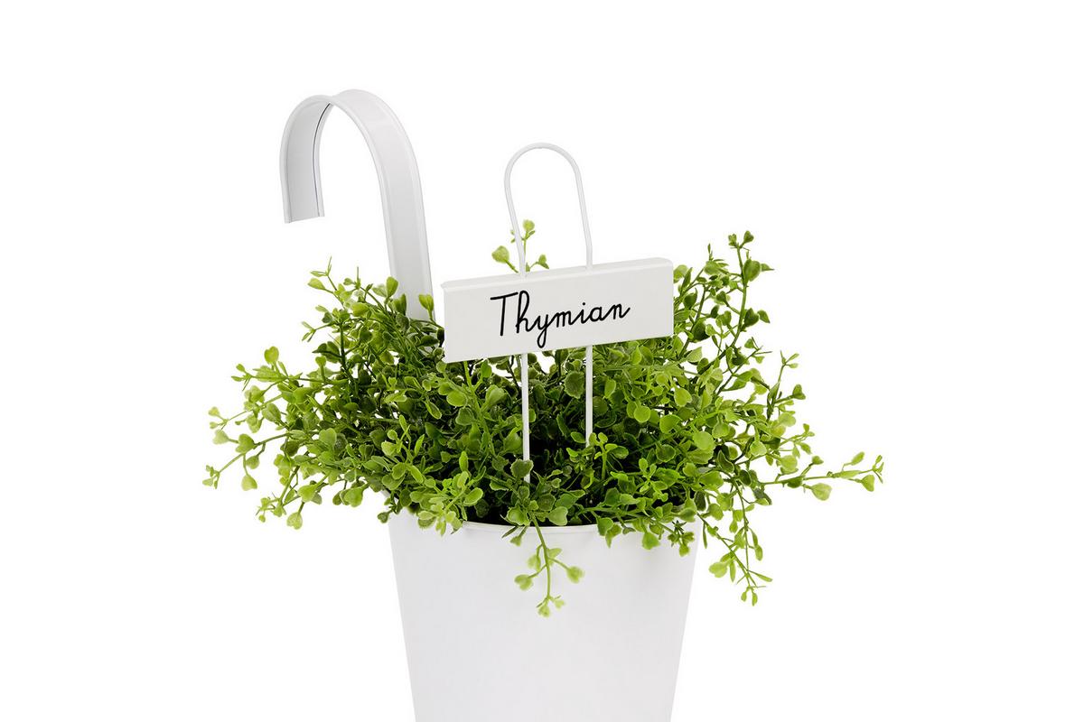 Pflanzenstecker Herb 5er-Set Stahl Weiß H: 27 Cm - Zinkfarben/Weiß, Metall (9/27cm) - Homezone
