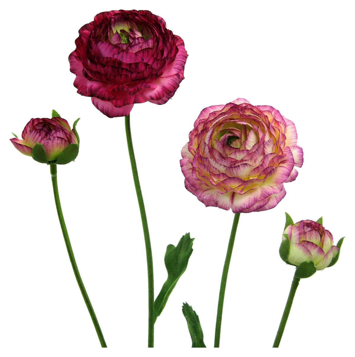 Kunstpflanze Ranunkel Hell- & Dunkelrosa L: 40 cm, Elisa - Hellrosa/Dunkelrosa, Basics, Kunststoff/Textil (40cm)