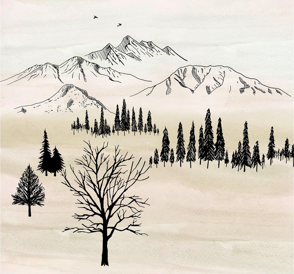 Fototapete Backcountry - Schwarz/Weiß, Trend, Papier (300/280/1cm)
