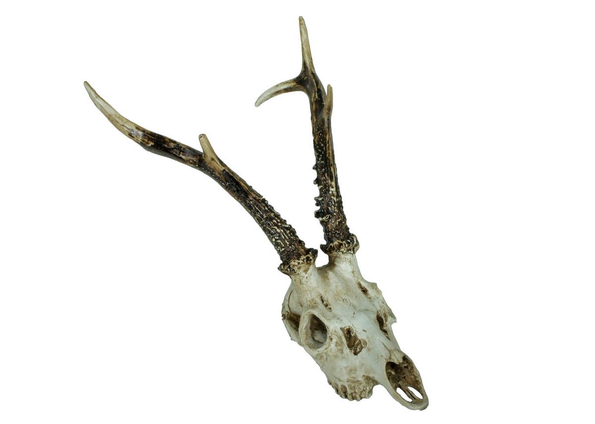 Geweih Naturfarben B: 23,5 Cm - Naturfarben, Basics, Kunststoff (23,5/39/24cm)