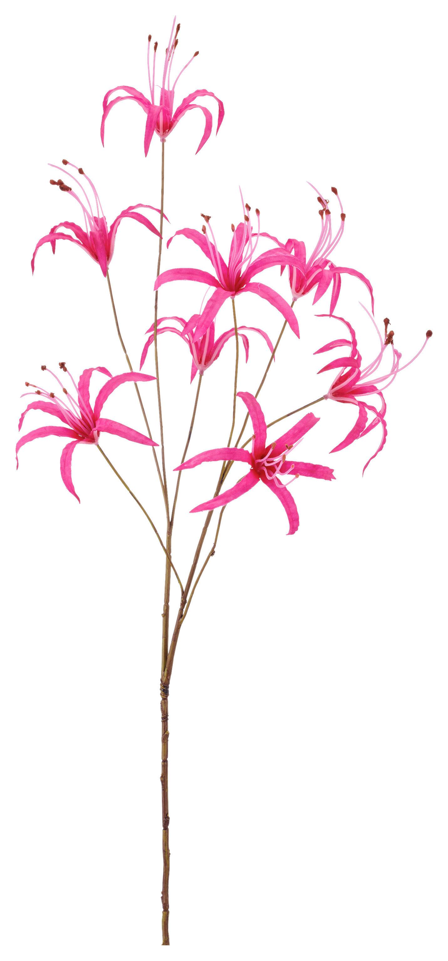 Ľalia NERINE I -PAZ- - pink, Basics (83cm) - Mömax