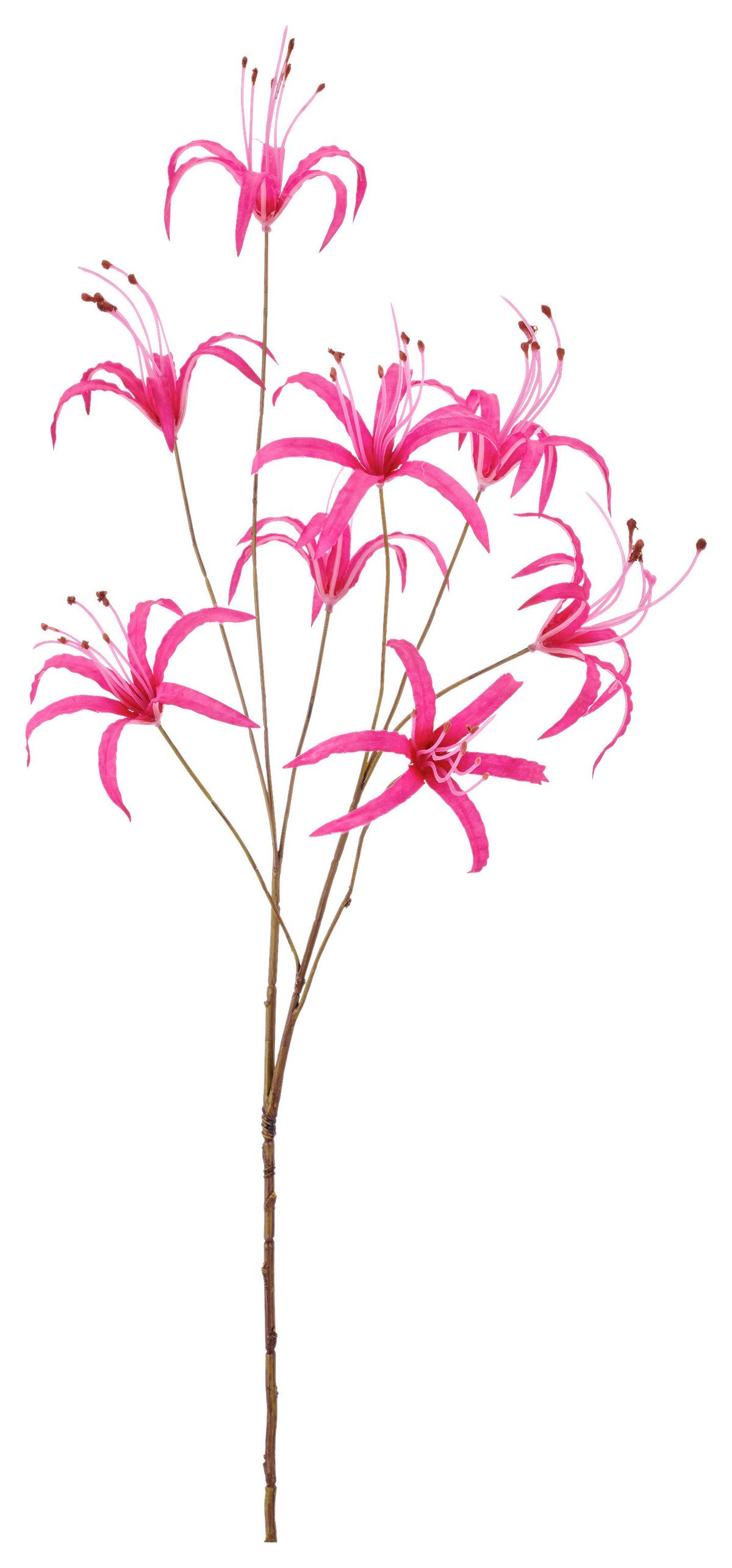 Ľalia NERINE I -PAZ- - pink, Basics (83cm) - Mömax