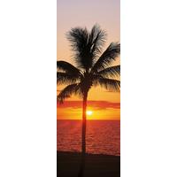Vliestapete Hawaii - Multicolor, Basics (100/280cm) - Komar