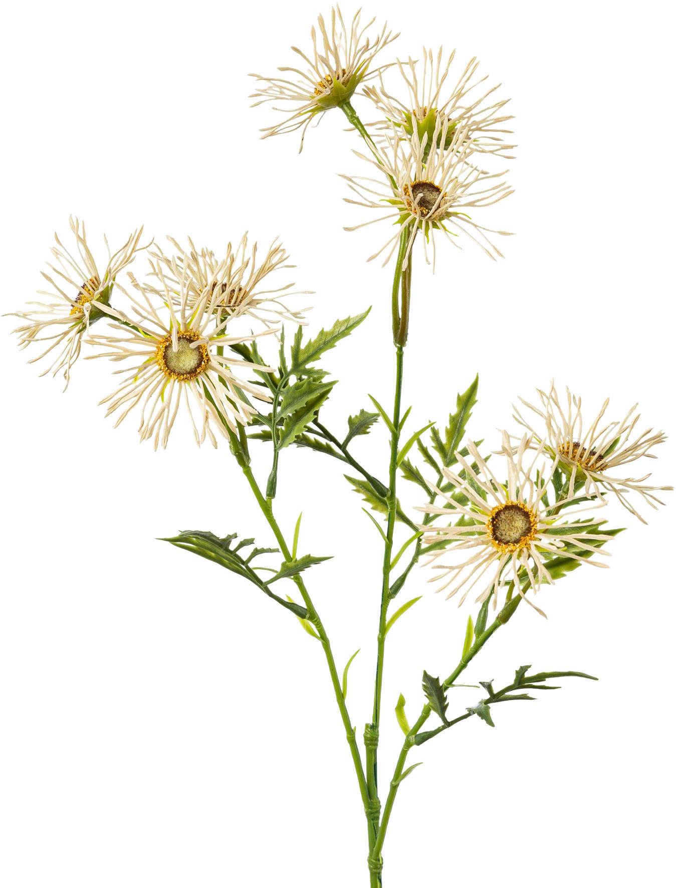 Kunstblume Margerittenzweig Weiß L: 53cm, Alba