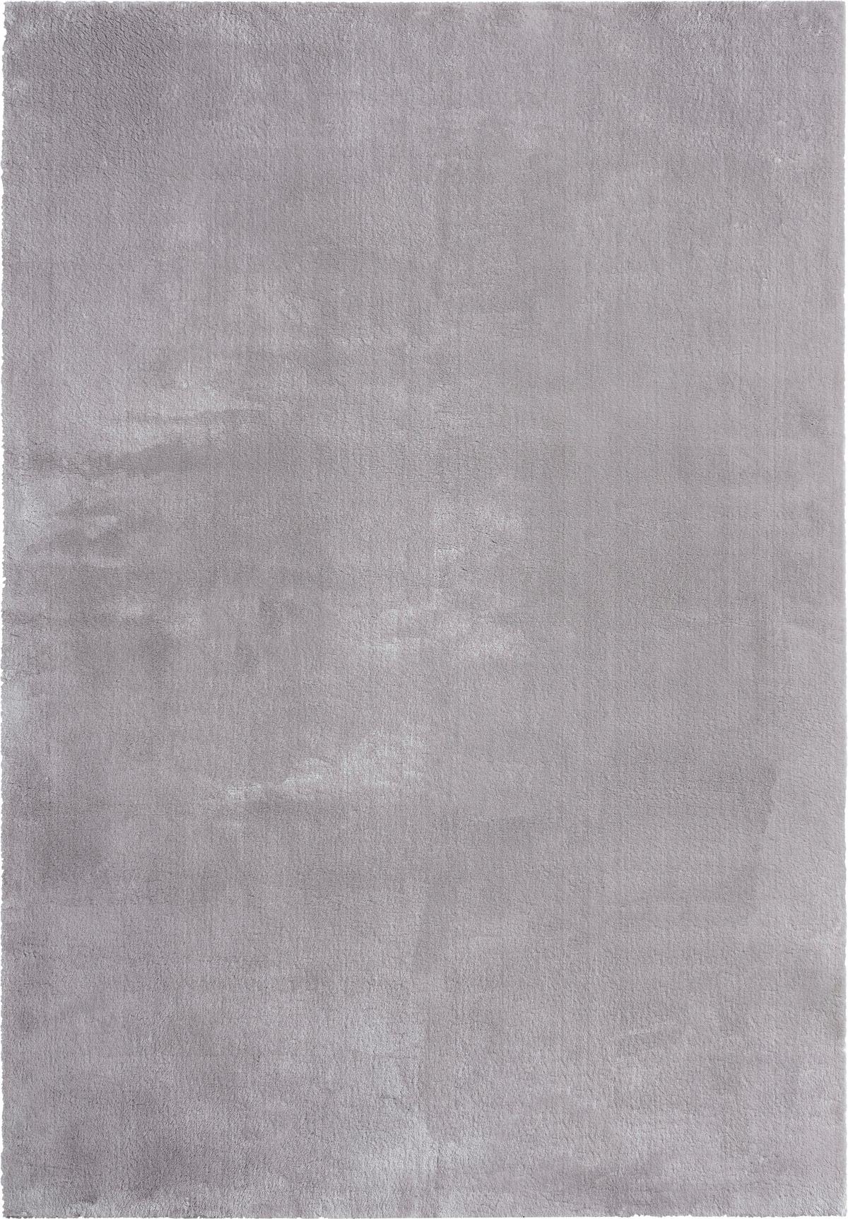 Fellteppich Loft - Grau, KONVENTIONELL, Textil (240/340cm)