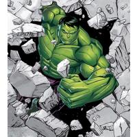 Fototapete Hulk - Schwarz/Weiß, Trend, Textil (250/280cm)