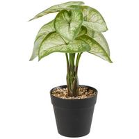 Kunstpflanzen Caladium Grün/schwarz/weiß L:30 Cm - Schwarz/Weiß, KONVENTIONELL, Kunststoff (30cm)