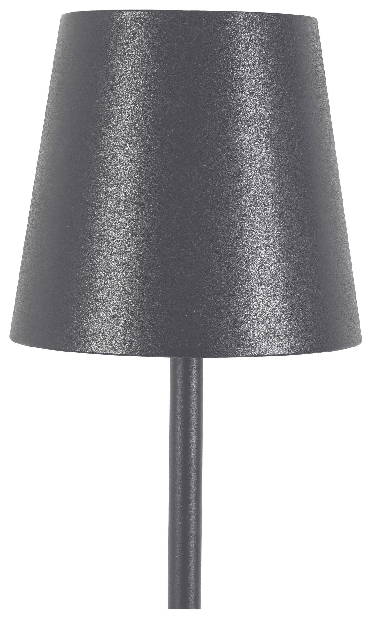 VONKAJŠIE LED SVIETIDLO AUSI - antracitová, Modern, kov/plast (22/130cm) - Modern Living