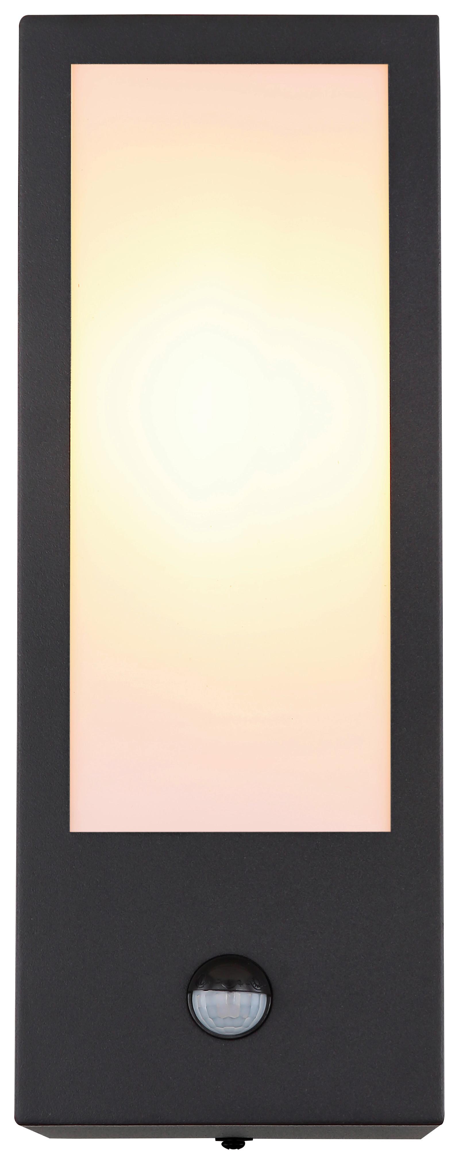 Außenleuchte Gundula 60 Watt Wandmontage