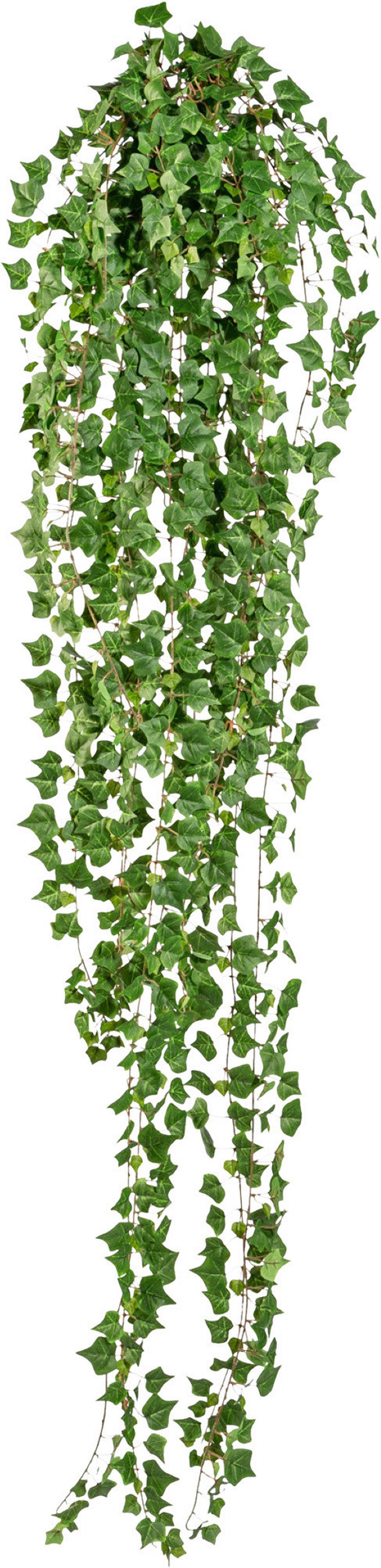 Kunstpflanze Hängepflanze Grün, 180 cm - Grün, Design, Kunststoff (180cm) - P & B