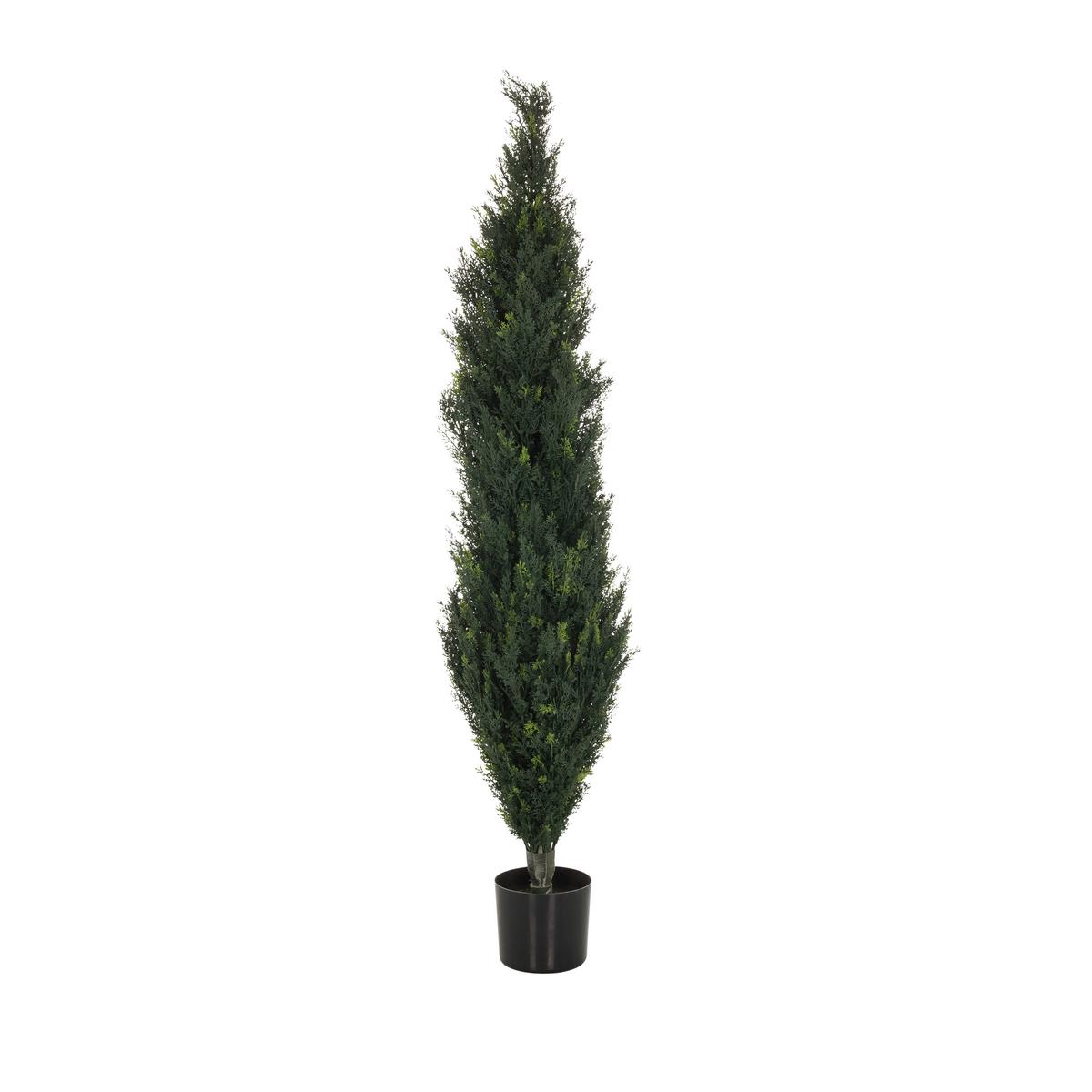 Kunstpflanze Cedrus 152 Cm Grün - Schwarz/Grün, Basics, Kunststoff (35/152/35cm) - MID.YOU
