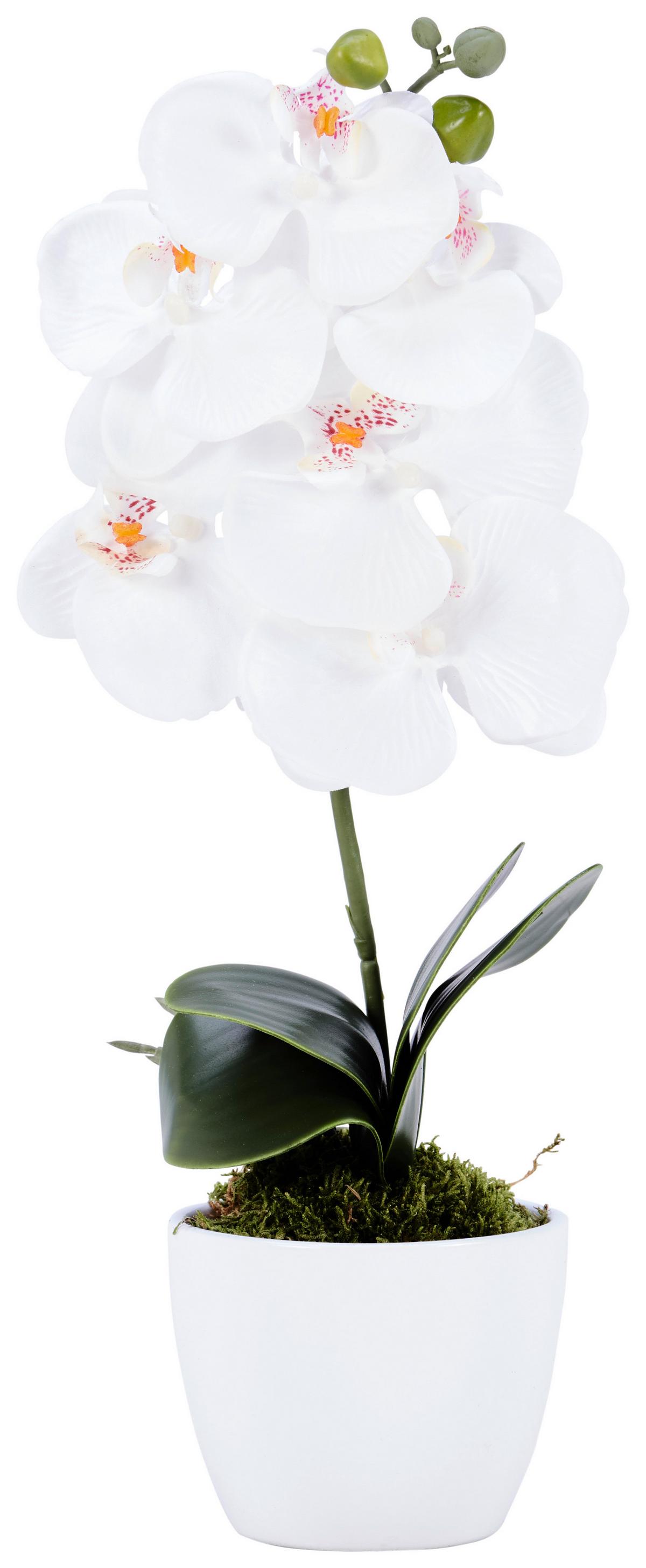 Kunstpflanze Orchidee Bunt H: 40 cm Im Topf, Sofie - Lila/Weiß, KONVENTIONELL, Keramik/Kunststoff (40cm)