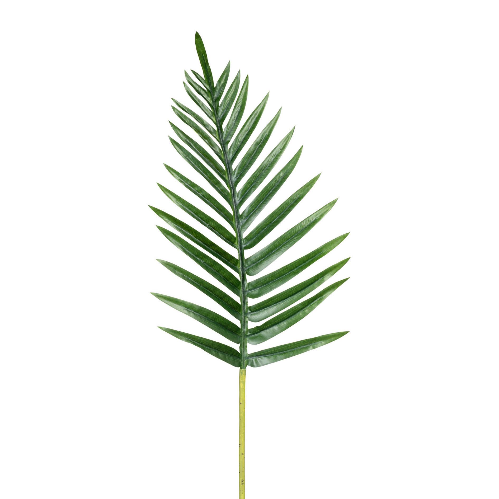 Palmwedel Palmwedel - Grün, KONVENTIONELL, Kunststoff (26/65/20cm)