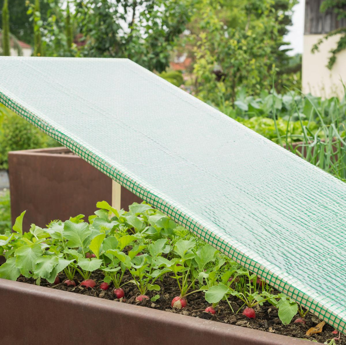 Abdeckfolie Strong Grün Kunststoff - Grün, Basics, Kunststoff (150/500cm)