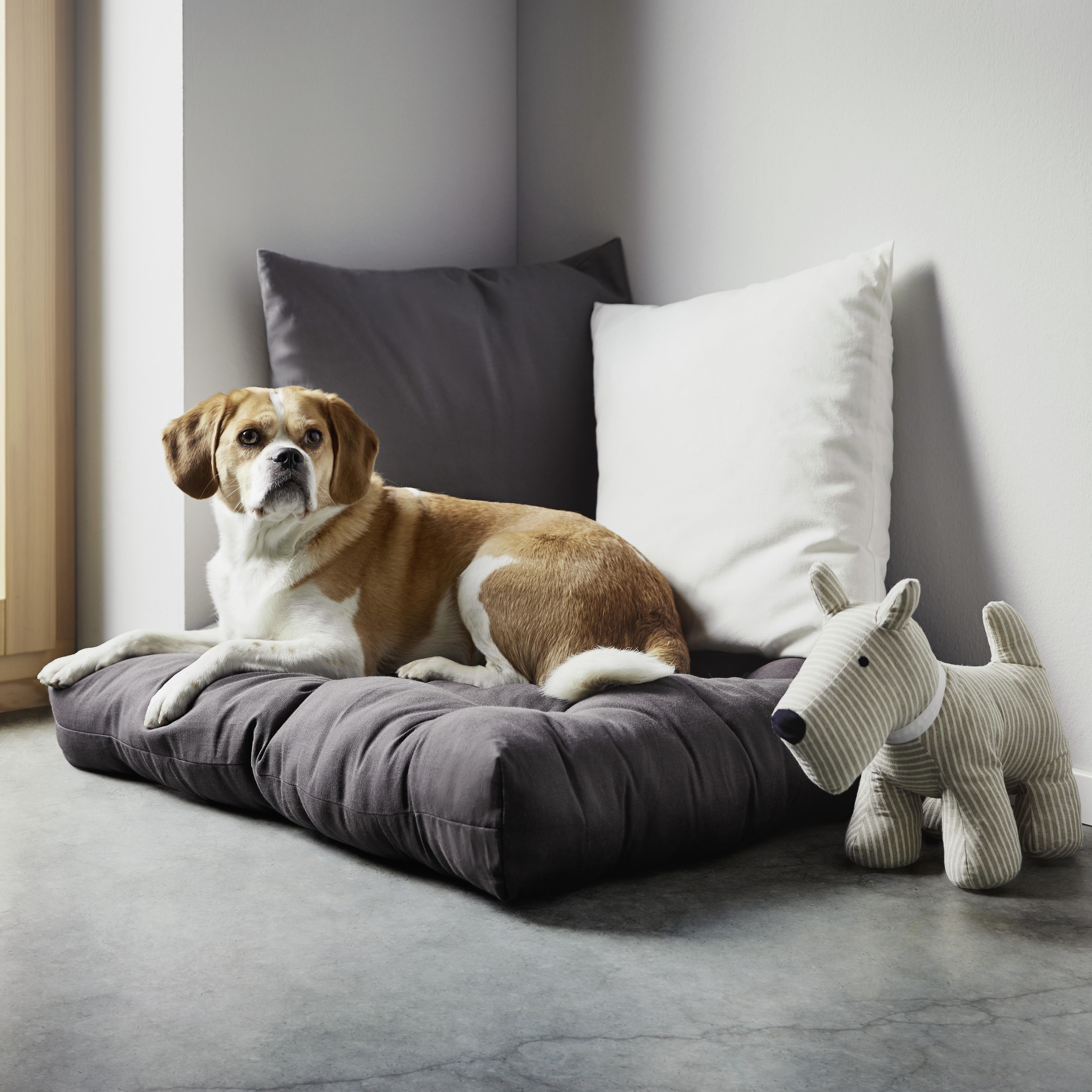 Polštář Ozdobný Bigmex, 65/65cm, Antracitová - antracitová, textil (65/65cm) - Modern Living