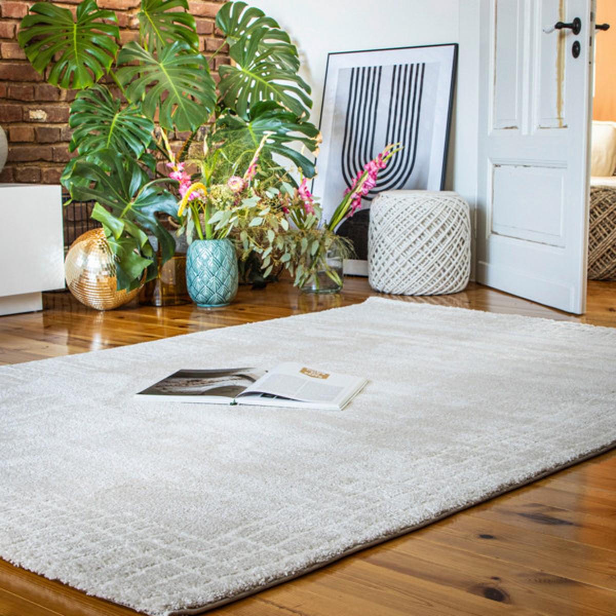Hochflorteppich Creme My Canyon 120x170 cm - Creme, Basics, Textil (120/170cm) - Obsession