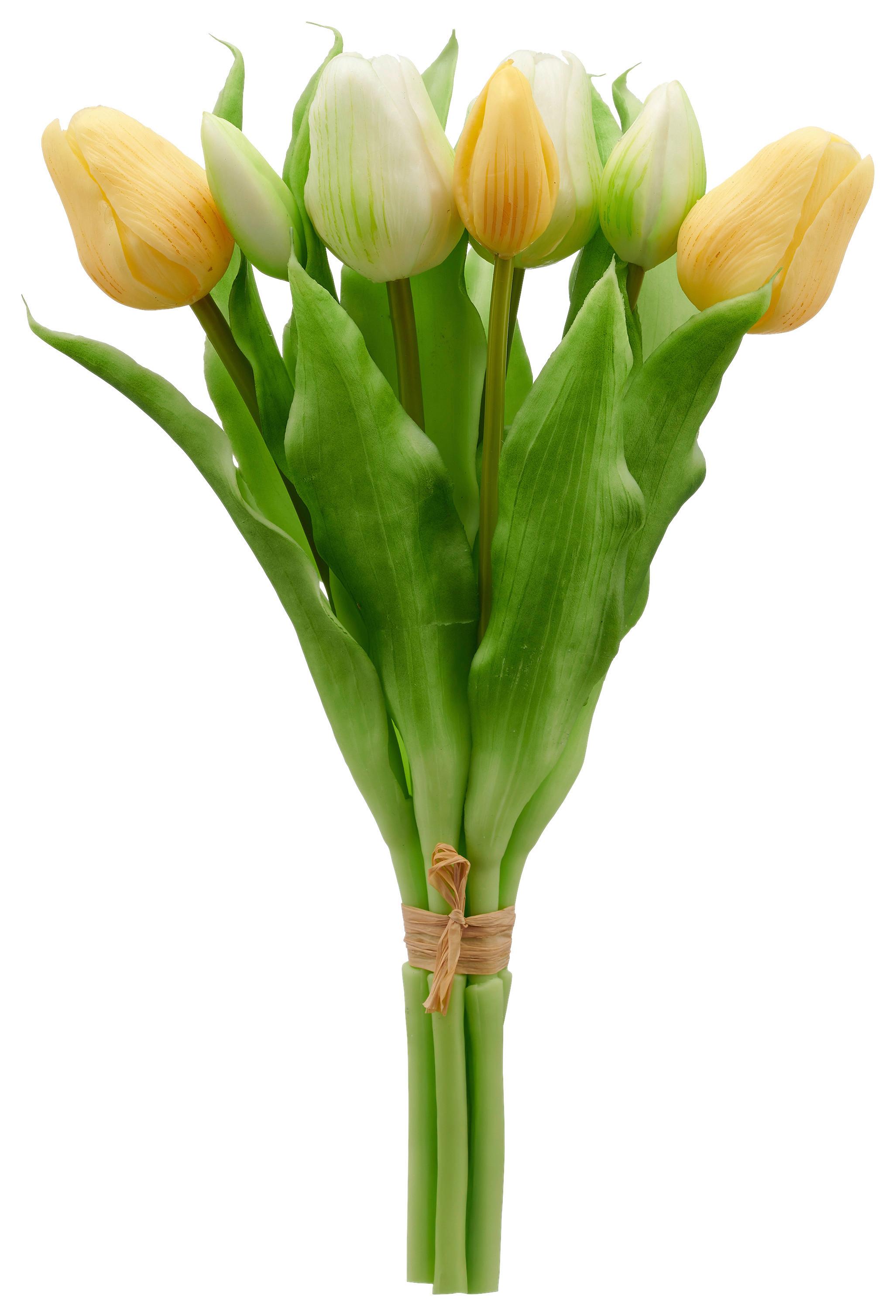 Tulipán TULPENBUND I - žltá/biela, Konventionell, kov/plast (31cm) - Mömax