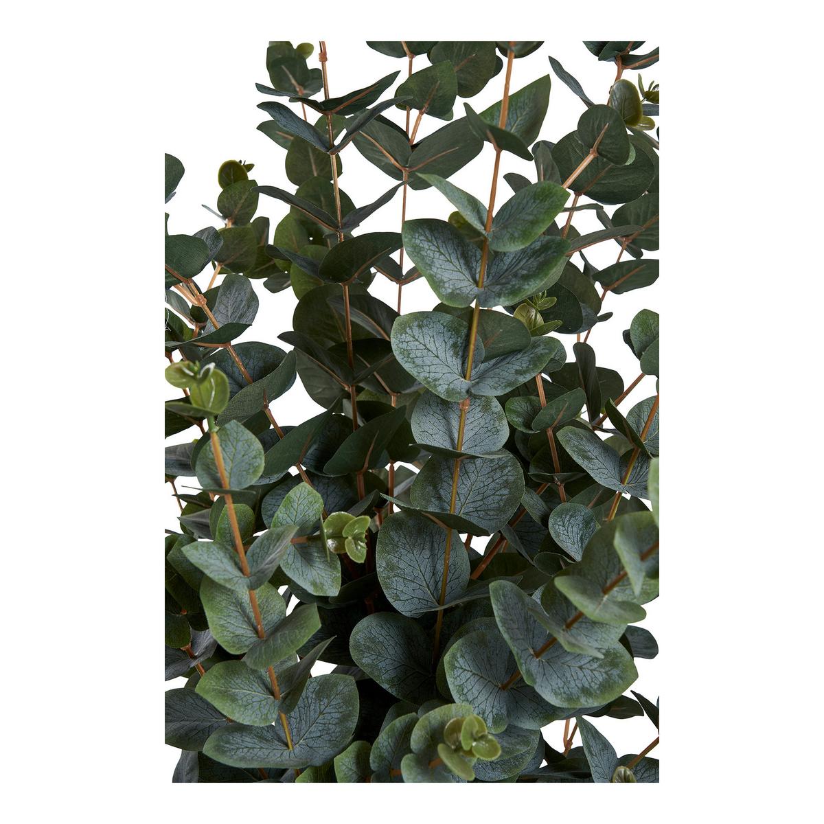 KUNSTPFLANZE Eucalyptus Grün B: 46 cm - Grün, Design (46/120/36cm)