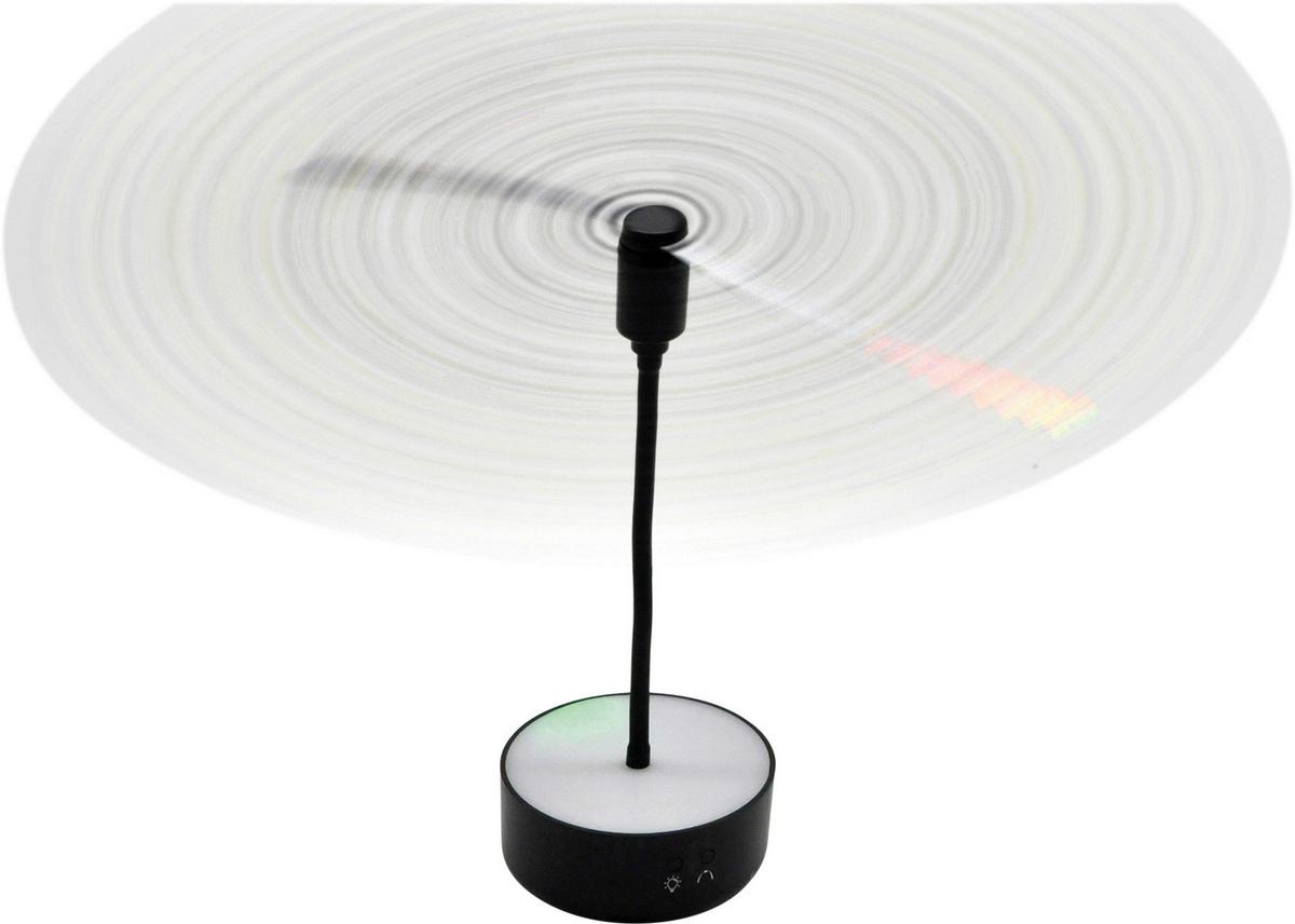 Wespenstopp/Fliegenwedler Schwarz - Schwarz, Basics, Kunststoff (36/28/11cm)