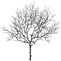 Kunstpflanze Corallenzweig H: 44 Cm Radomir - Schwarz, Basics, Kunststoff (44cm)