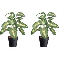 Kunstpflanze H: 38 cm - Gelb/Schwarz, Design, Kunststoff (38cm) - P & B