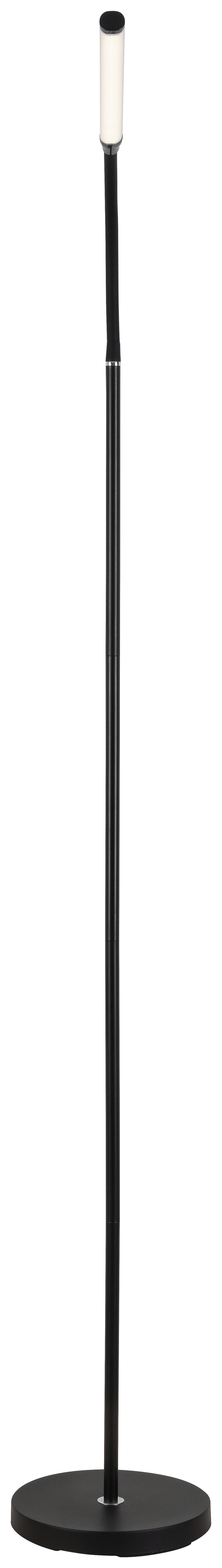 Stehleuchte David Dimmbar Schwarz - Schwarz, Design, Kunststoff/Metall (22/155cm) - Luca Bessoni