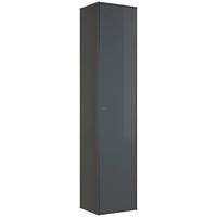 ZÁVĚSNÁ SKŘÍŇKA MAX BOX - antracitová, Moderní, kompozitní dřevo/sklo (38/175/32cm) - Premium Living
