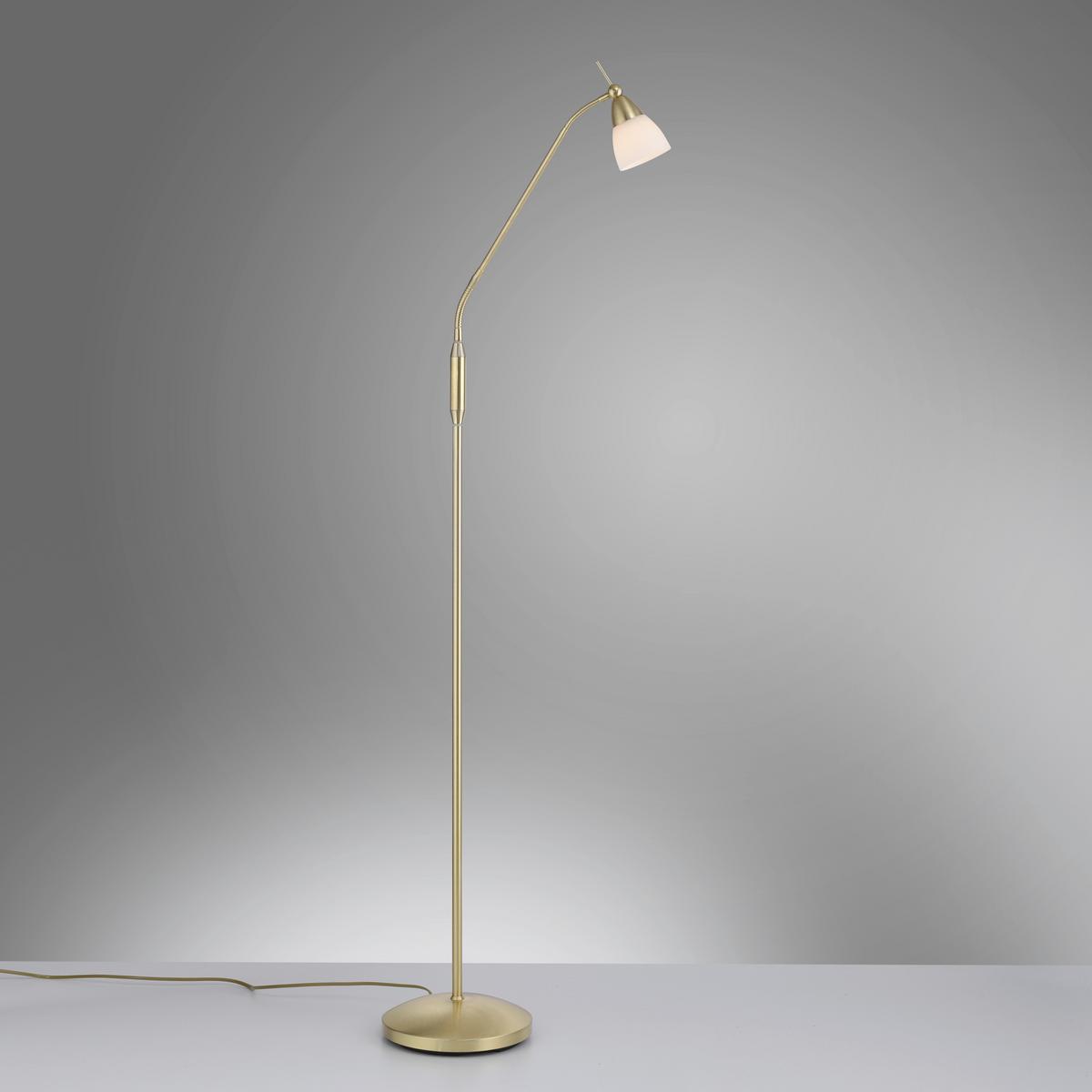LED-Stehleuchte 400-60 Pino - Messingfarben, Basics, Glas/Metall (74/74/163cm) - Paul Neuhaus