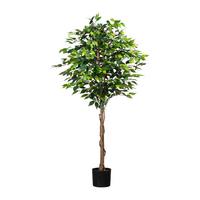Kunstpflanze Ficus Benjamina H:180 Cm - Schwarz/Braun, Basics, Naturmaterialien/Kunststoff (180cm) - P & B