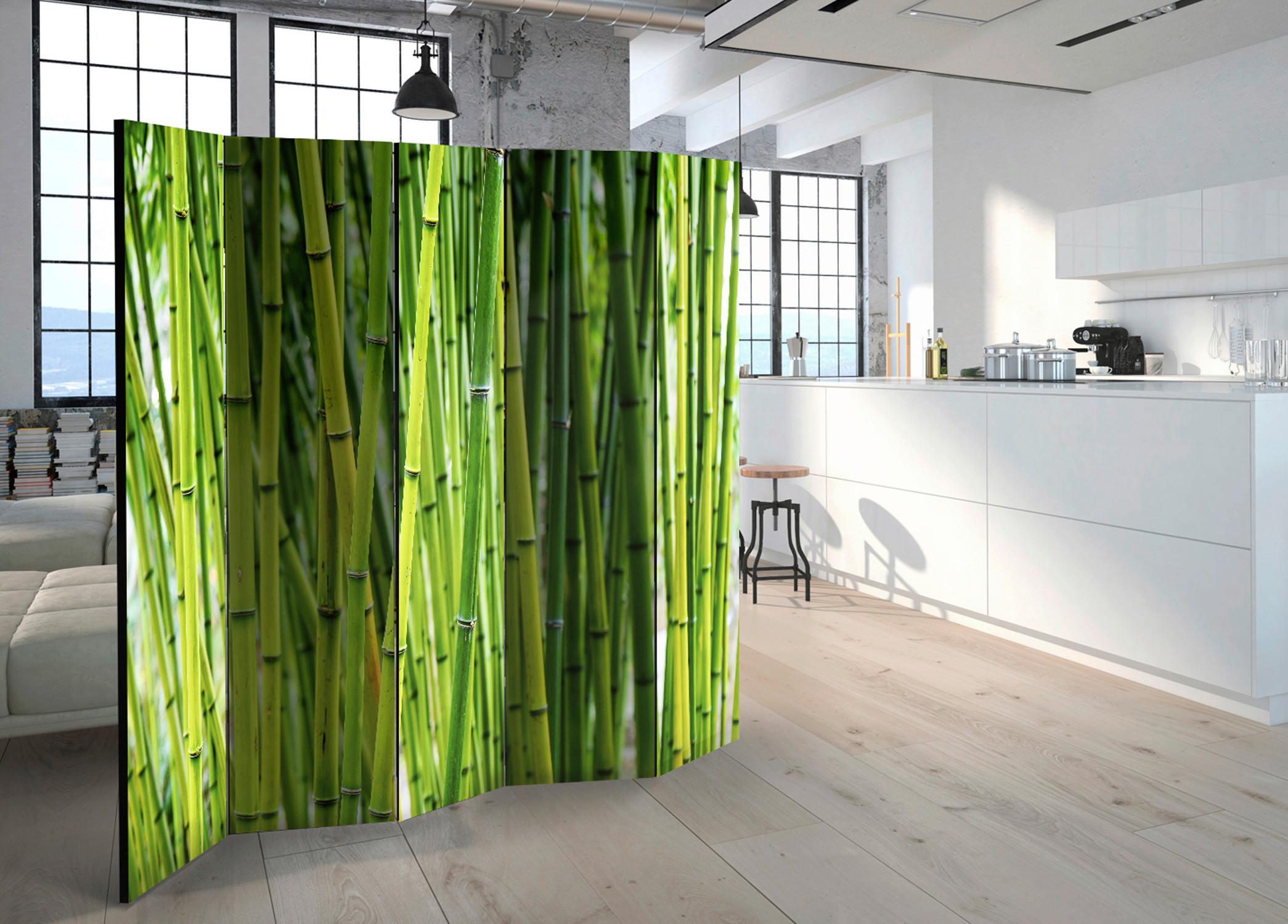 Paravent Hellgrün B: 225 cm - Hellgrün, Basics, Holz/Textil (225/172/3cm) - artgeist
