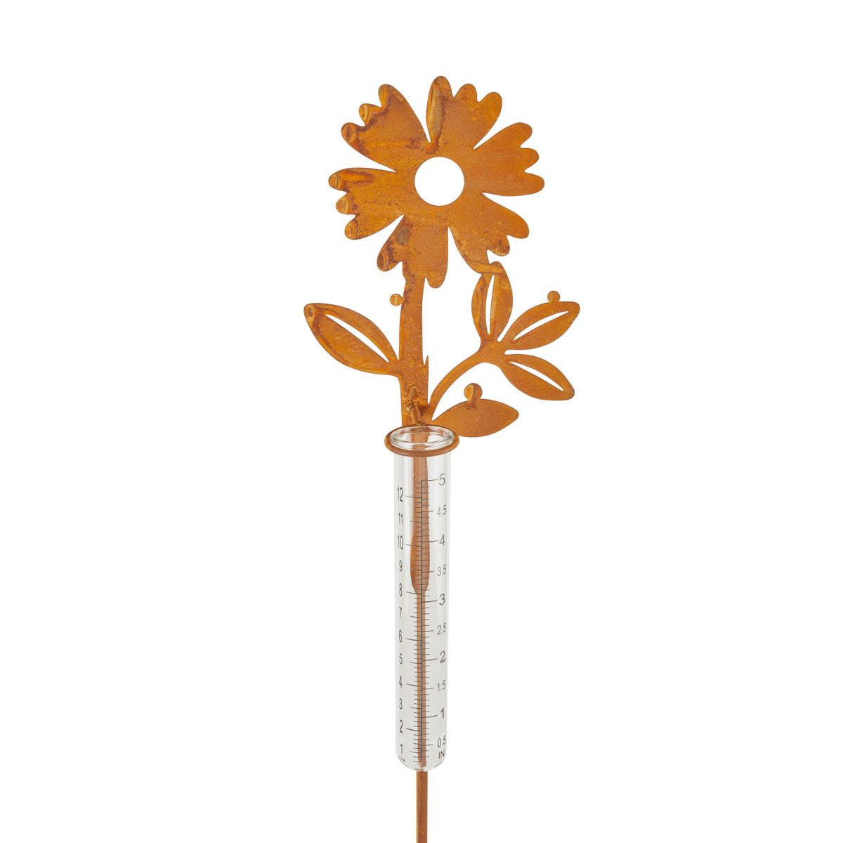 Esőmérő 9166181 Albert -Paz- - barna/átlátszó, Konventionell, Üveg/fém (11/5/116cm) - Luca Bessoni