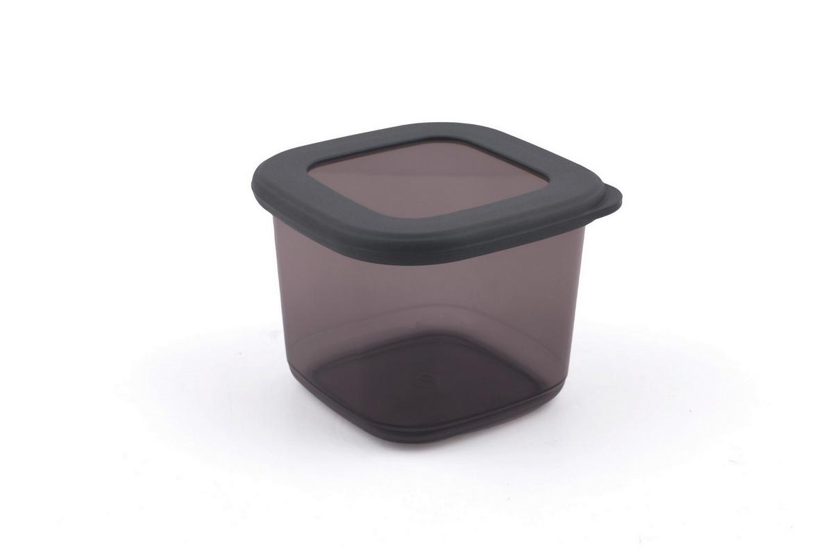 Vorratsdosenset 12-teilig Je 0,55l, Kunststoff Anthrazit - Klar/Anthrazit, Basics, Kunststoff (10/10/9.5cm) - P & B