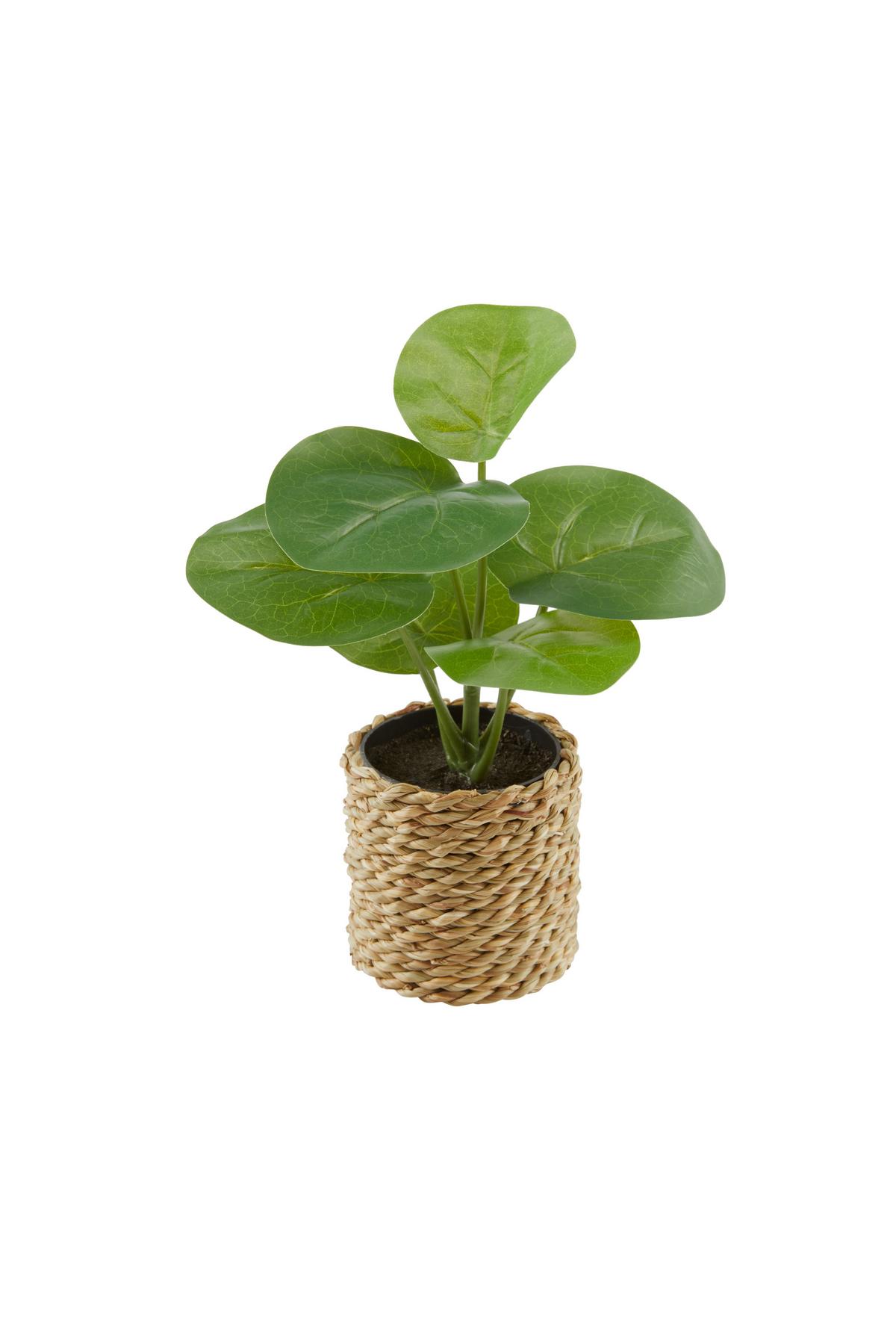 Kunstpflanze Kerstin - Naturfarben/Grün, MODERN, Naturmaterialien/Kunststoff (10/22cm) - Luca Bessoni