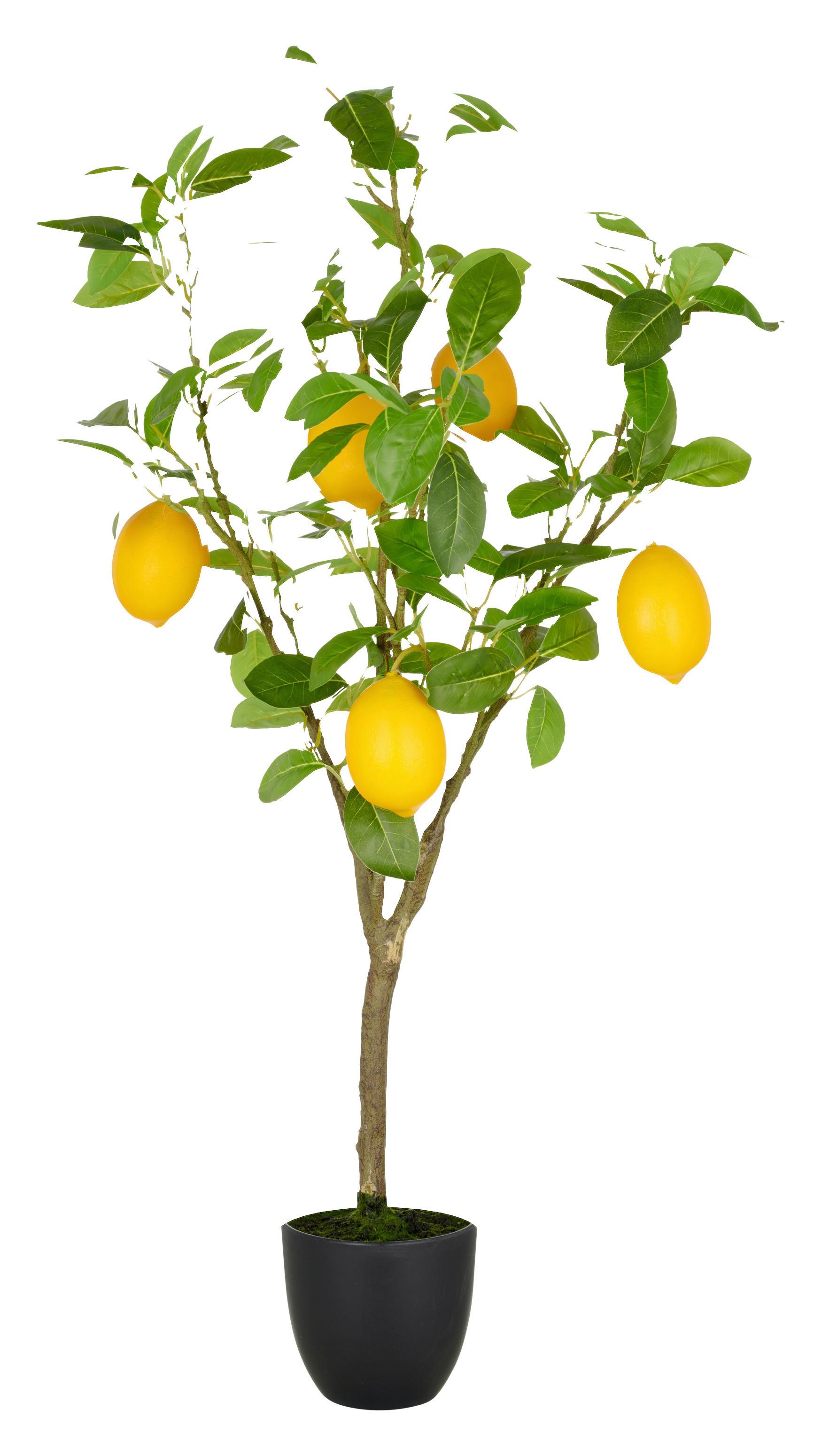 Kunstpflanze Gelb Grün Braun B: 21 Cm - Gelb/Braun, Basics, Kunststoff (21/90/21cm)