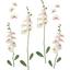 NÁLEPKA DEKORAČNÍ ORCHIDEa - vícebarevná, umělá hmota (50/70cm) NÁLEPKA DEKORAČNÍ ORCHIDEa - vícebarevná, umělá hmota (50/70cm)