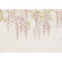 Fototapete R4-050 Wisteria - Multicolor, Trend (400/280cm)