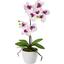 Rostlina Umělá Orchidee - bílá/pink, kov/textil (11/60cm) - Mömax modern living Rostlina Umělá Orchidee - bílá/pink, kov/textil (11/60cm) - Mömax modern living