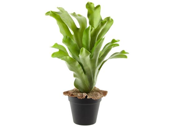 Rostlina Umělá Geweihfarn I - zelená, Basics, umělá hmota (37cm) Rostlina Umělá Geweihfarn I - zelená, Basics, umělá hmota (37cm)