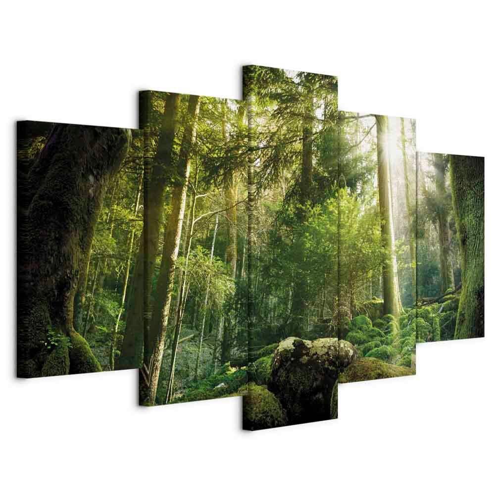 Leinwandbild Dunkelgrün Hellgrün B: 200 Cm