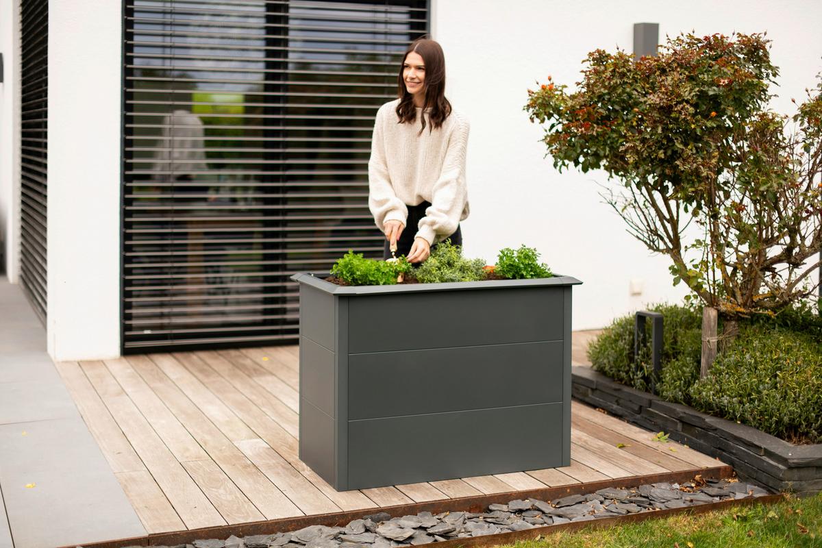 Hochbeet Primus M - Anthrazit, KONVENTIONELL, Metall (50/100/77cm)