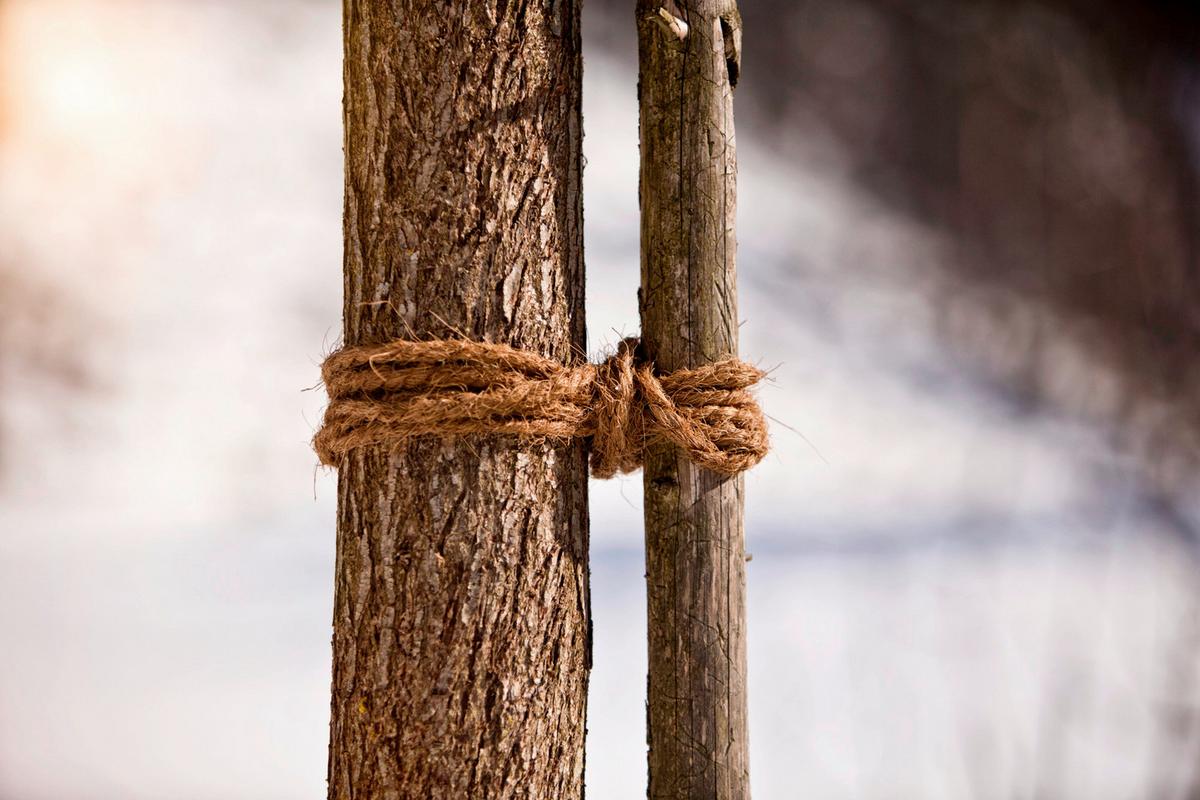 Kokosbaumanbinder Dxh: 0,6x100 M - Braun, Basics, Textil (0,6/10000cm) - Windhager