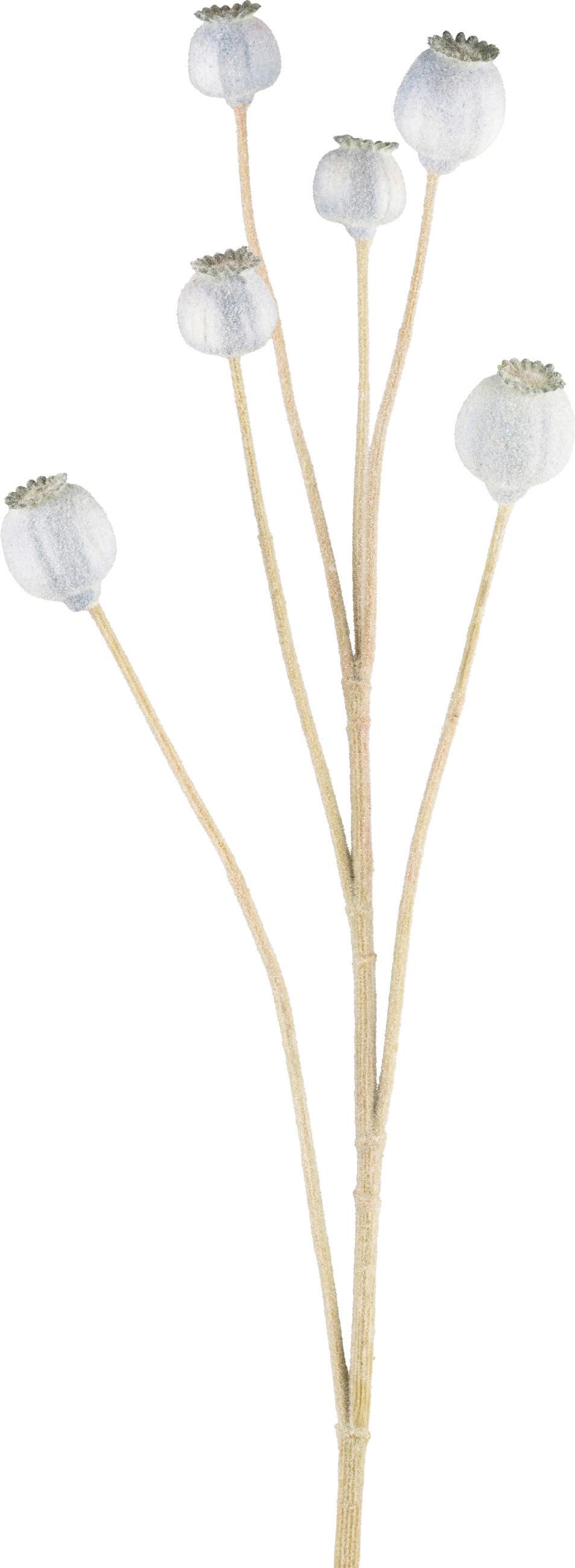 MÁK MOHN I - zelená/světle modrá, Konvenční, plast (79cm) - Modern Living