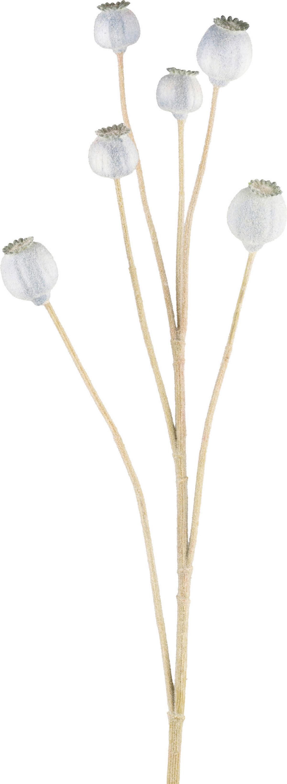 MÁK MOHN I - zelená/světle modrá, Konvenční, plast (79cm) - Modern Living